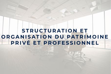 Structuration-et-organisation-du-patrimoine-prive-et-professionnel